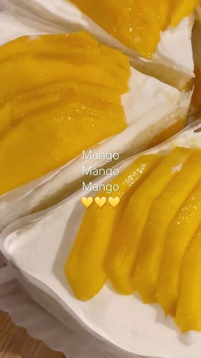 카페수우 망고듬뿍케이크 Mango Cake Shorts Youtube