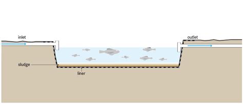 Fish Pond (Aquaculture) | SSWM - Find tools for sustainable sanitation ...