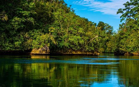 Body Of Water Raja Ampat Island Forest Tropical Hd Wallpaper