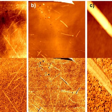 Representative Afm Data Of Pvdf Agnw Thin Film Electrodes Measured Upon