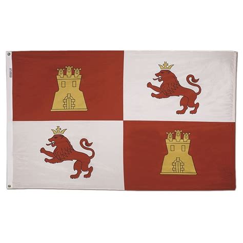 The Lions and Castles Flag 3 x 5 ft. Outdoor Flag