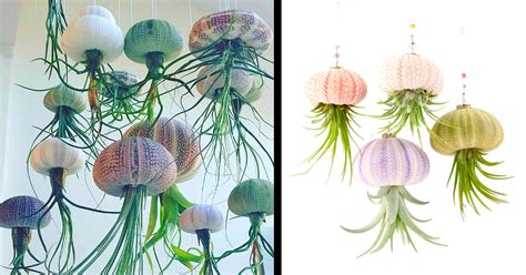 These Jellyfish Planters Hold Your Air Plants Upside Down