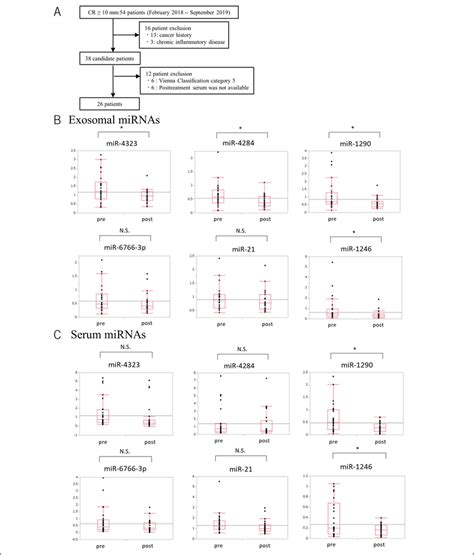 Expression Levels Of Serum And Exosomal Mirna Before And After Download Scientific Diagram