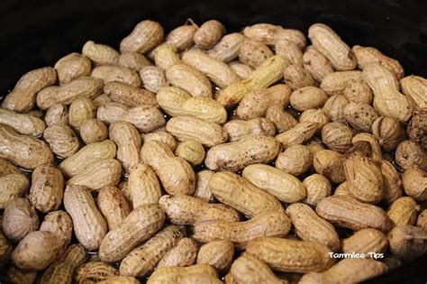 Crock Pot Cajun Boiled Peanuts Tammilee Tips