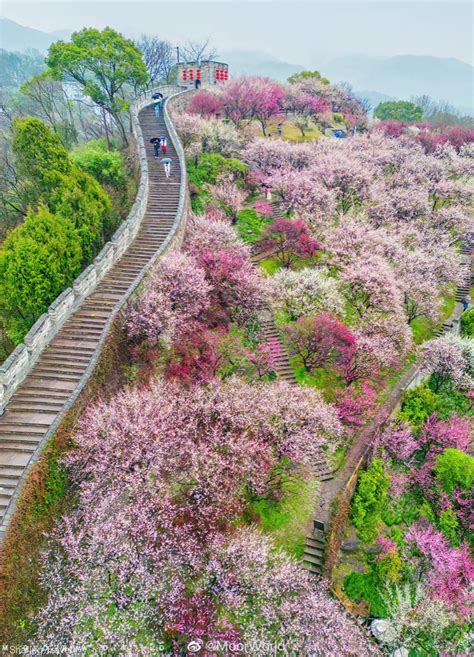 Sharing Travel On Twitter Rt Tripinchina Spring In Taizhou Jiangnan