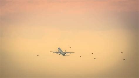 Flughafen N Rnberg Neuer Winterflugplan Mehr Als Fl Ge Nonstop