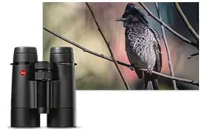 Top 10 Best Rangefinder Binoculars for Hunting in 2024