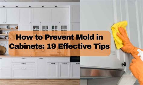 How To Prevent Mold In Cabinets 19 Effective Tips