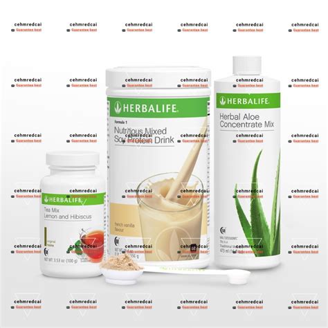 Herbalife Healthy Breakfast Pack Formula 1 Freach Vanilla Teamix