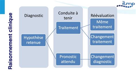 D Marche Diagnostique Et Raisonnement Clinique Institut De Th Rapie