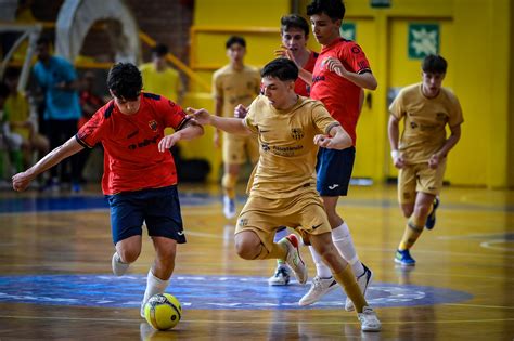 Fcf Lefectivitat Blaugrana Els Proclama Campions De La Copa