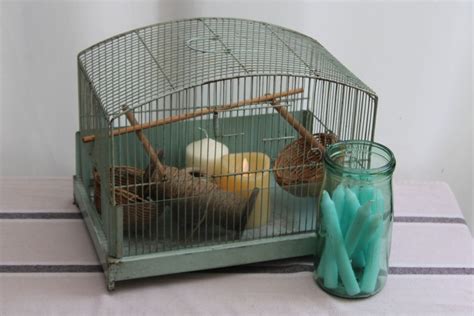 Cage Oiseaux En M Tal