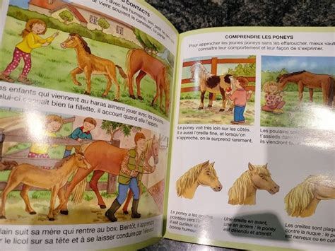 L Imagerie De La Ferme L Imagerie Du Poney Et Du Cheval Kaufen Auf