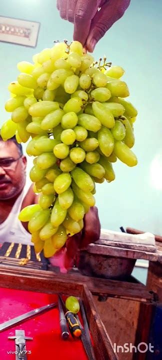 Best Angur Fruit 🍇🍇🍇🍇🍇🍇🍇 ️ 😋 Youtube