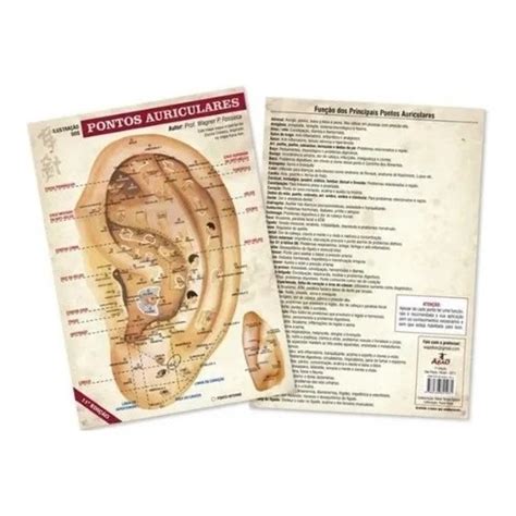 Mapa Acupuntura Auricular Auriculoterapia Chinesa Shopee Brasil