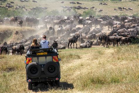 Kenya Safari 23/7/2020 – LevArt Travel