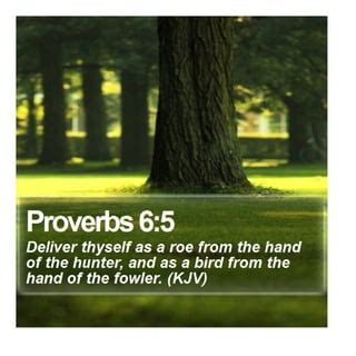 Proverbs 6:5 - Daily Bible Verse | PDF | Free Download