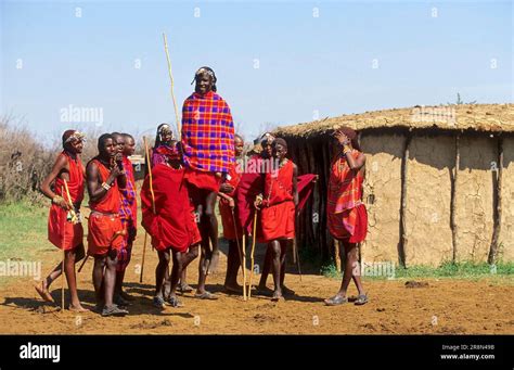 Maasai Dancing Kenya East Africa Stock Photo Alamy