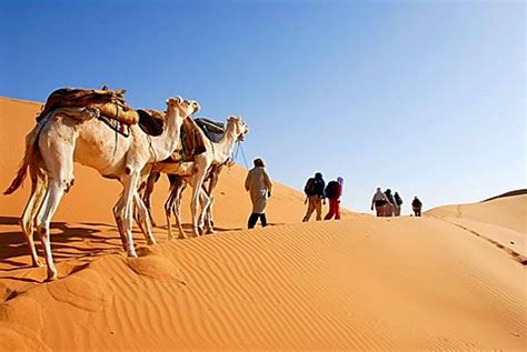 D Couvrez Le Sud Tunisien Excursions Et Circuits Dans Le D Sert Du