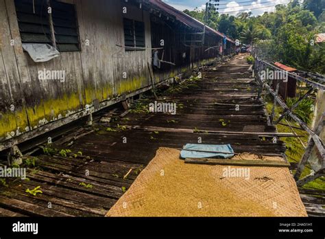 Veranda Of A Traditional Longhouse Near Batang Rejang River Sarawak