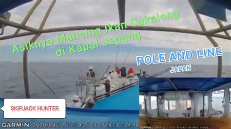 Mancing Ikan Cakalang Di Perairan Jepang Pole And Line Japan Skipjack