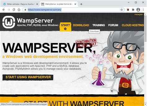 Descarga E Instalaci N De Wampserver En Windows Papyrus Auxilium