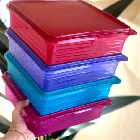 TUPPERWARE B2B SNACK STOR 2 9L MULTIPURPOSE KEEPER Shopee Malaysia