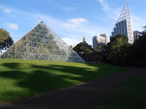 Top Ways to Enjoy Sydney's Royal Botanic Gardens