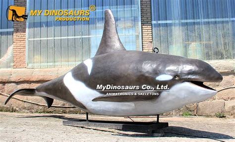 Aa 171 Realistic Animatronic Killer Whale Orca My Dinosaurs