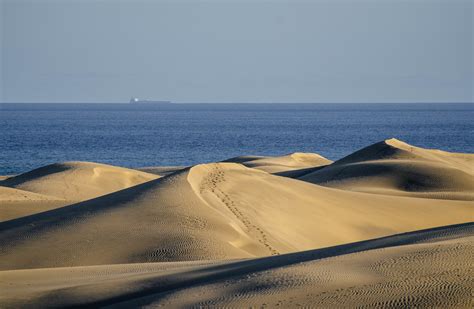 in the dunes of maspalomas 18 – Telegraph