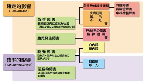 環境省影響の種類