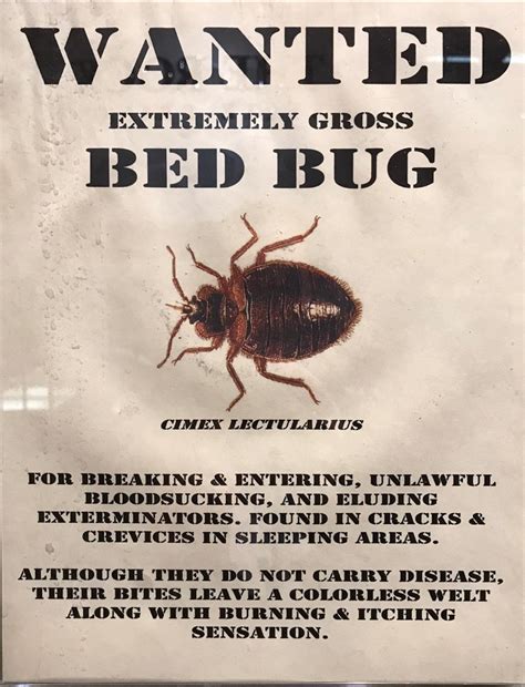 Insecto Exterminators | McMinnville TN