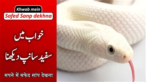 White Color Snake In Dream Khwab Me Safed Rang Ka Saanp Dekhna