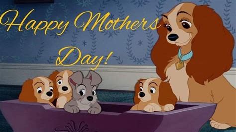 Pin by Betty Reed on Lady and the Tramp | Lady and the tramp, Happy mothers, Disney