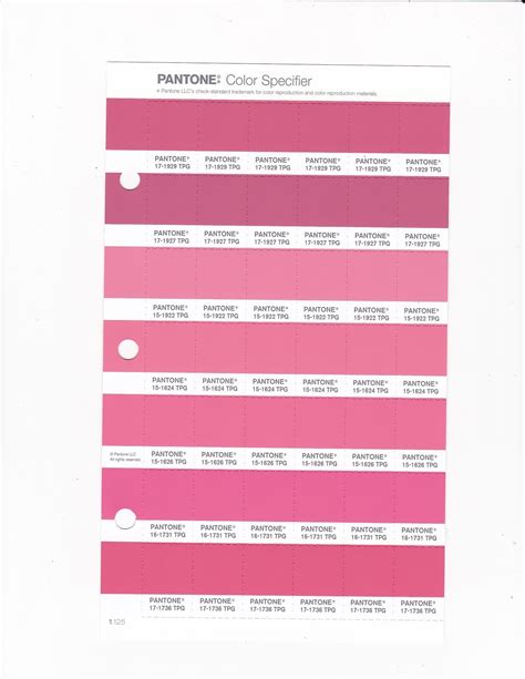 PANTONE 17 1929 TPG Rapture Rose Replacement Page Fashion Home