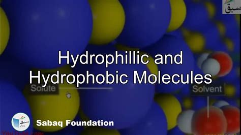 Hydrophillic And Hydrophobic Molecules Chemistry Lecture Sabaq Pk