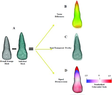 summary   surface  surface distance calculations