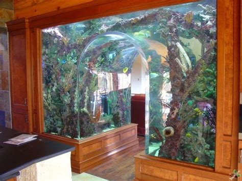 46 Inspiring Fish Tanks For The Aquatic Lover In You