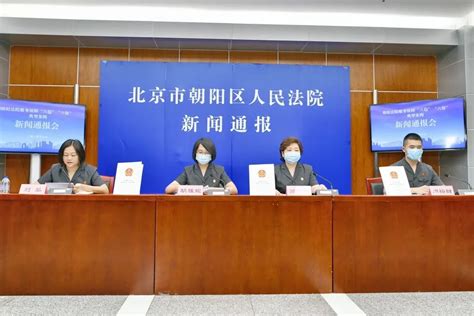 朝阳法院召开服务保障“六稳”“六保”典型案例新闻通报会 澎湃号·政务 澎湃新闻 The Paper