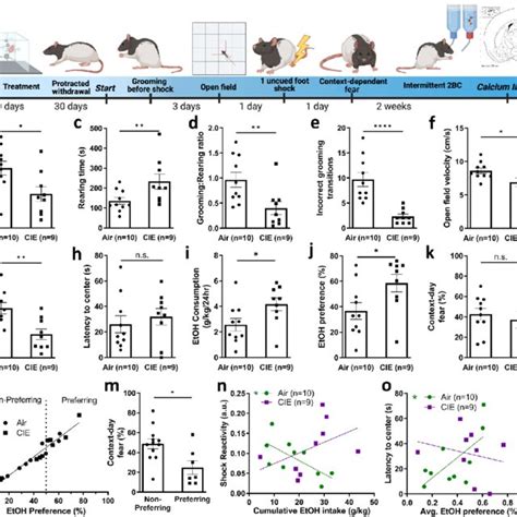 CIE exposure alters the basal Ca 2 signaling and sensitivity to α1AR