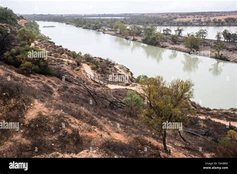 Murray River Australia Stock Photo - Alamy