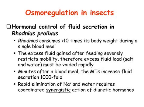 Ppt Invertebrates Excretory Systems Powerpoint Presentation Free Download Id 351487