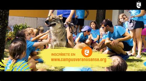 La Asociaci N De Clubes Presenta Los Campus Predeportivos De Verano Con