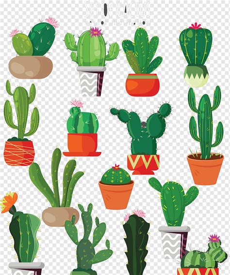 Cactus En Maceta Png PNGWing