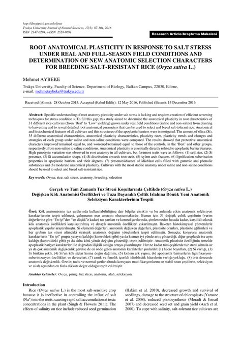 PDF ROOT ANATOMICAL PLASTICITY IN RESPONSE TO SALT STRESS UNDER REAL