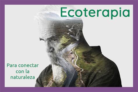 Ecoterapia Para Conectar Con La Naturaleza Tu Portal Eco