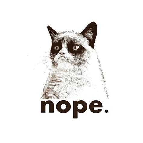 Nope Grumpy Cat Wallpapers - Top Free Nope Grumpy Cat Backgrounds ...