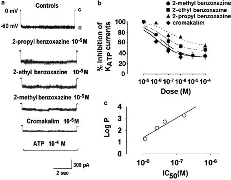 Dualistic Actions Of Cromakalim And New Potent 2H1 4benzoxazine