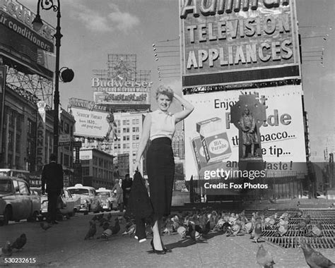 Actress Shani Wallis Photos And Premium High Res Pictures Getty Images