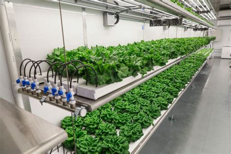 Indoor Farming Technology Market To Be Worth Usd 6267 Billion By 2027